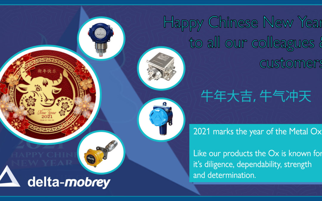 Happy Chinese New Year 2021!